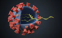 'Double-mutant' COVID strain discovered in California