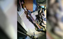 לוחמי נצח יהודה תפסו אמל"ח בבנימין
