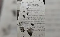 צילום: חופשי השחיתו את קברו של רב העיר צפת