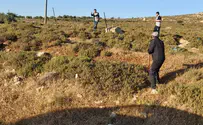 שוב: ערבים משחיתים את הכרמים במגדלים