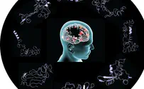 Protein simulation experiments unveil clues on Parkinson’s 
