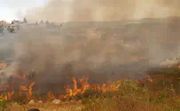 Israel to send fire fighter delegation to Greece