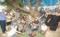 חונכים חממה חקלאית בבית ספר יסודי