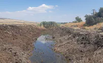 יתושי קדחת הנילוס התגלו בנחל יבנאל