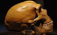 Missing link found in Israel? New hominid discovered in Tel Aviv