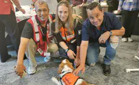 The beauty of humanity brought out by a therapy dog in Surfside