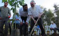 "תחושת שותפות בכל מה שקורה במדינה"