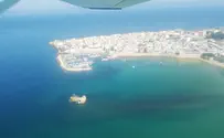 באוויר ובצלילה: עוקבים אחרי המדוזות