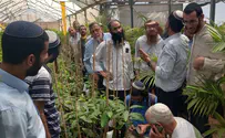 תלמידי הרבנות יצאו לסיור מעשי בשטח