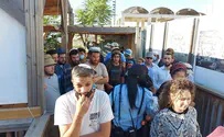 המהפך היהודי בהר הבית 