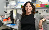 A novel method for the rapid repair of peripheral nerve injuries