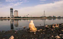 Can 'smog tower' rid New Delhi of pollution?