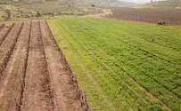 'כושרות' מצטרף לקריאת נאמני תורה ועבודה