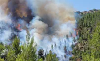 Jerusalem suburb evacuated as blaze rages out of control