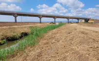 יתושי קדחת הנילוס בשני נחלים בצפון
