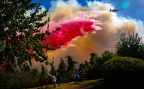 Assessment: Arson caused the massive forest fire