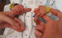 «Они не смогут забрать это у нас. Мы им не позволим»