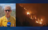 מומחה בקק"ל: כל השריפות בישראל - מעשה ידי אדם
