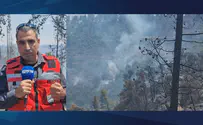 אש בהרי ירושלים: "אנחנו נכנסים לעידן של מגה-שריפות"