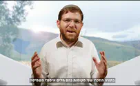 איך משקים את הצמחים בשמיטה?