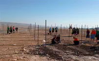 הדור הצעיר עצל ומפונק? 