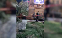 אסון בטיילת טבריה: עץ קרס והרג אישה