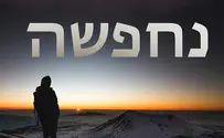 עטיפת הסינגל אלישע פרידמן בסינגל אלולי חדש: נחפשה