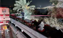 Man killed in northern Israel while cutting lulavs for Sukkot