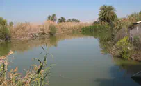 חג ניסוך המעין                      