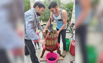 7 ברנז'ה: הסמוטריצ'ים מכינים יין