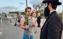 חסידי חב"ד דאגו לנטילת לולב בכל הארץ