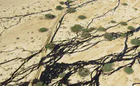Officials give update on California oil spill
