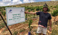 הגרלה, דירה ומצוות שמיטה