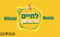 עטיפת הסינגל הרמיקס הרשמי ללהיט "לחיים"
