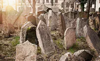 צילום: ISTOCK שיתוף פעולה היסטורי באירופה