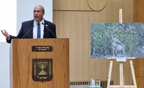 Comptroller: Israel unprepared for climate crisis