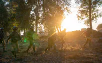 ערבים דרכו נשק על חייל - ונמלטו בחיים