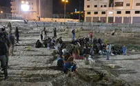 ביקור קבוצתי נדיר באלוני ממרא