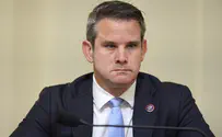 GOP Trump foe Rep. Adam Kinzinger will not run for reelection