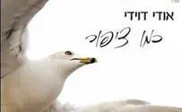 דוידי עף "כמו ציפור"