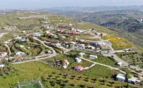 צעירים לנצח                         