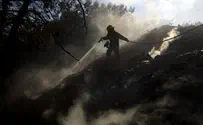 מרבית פעולות הכיבוי בכרמל נכשלו