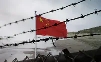 Watch: Chinese activists arrested in rare anti-gov't protest