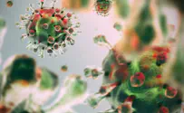 Study suggests 50% of people have innate immunity to COVID