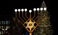 Stop complaining about Christmas trees, enjoy your own holiday