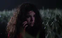 ימים של מתכת