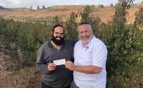 Meet the farmers keeping shemittah 'the way it's meant to be'