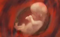 Israeli researchers discover insulin-making cells in fetal gut