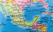 Watch: Flock of birds drops dead in Mexico