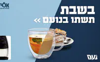 אפיקים מקבלים את החורף בנועם